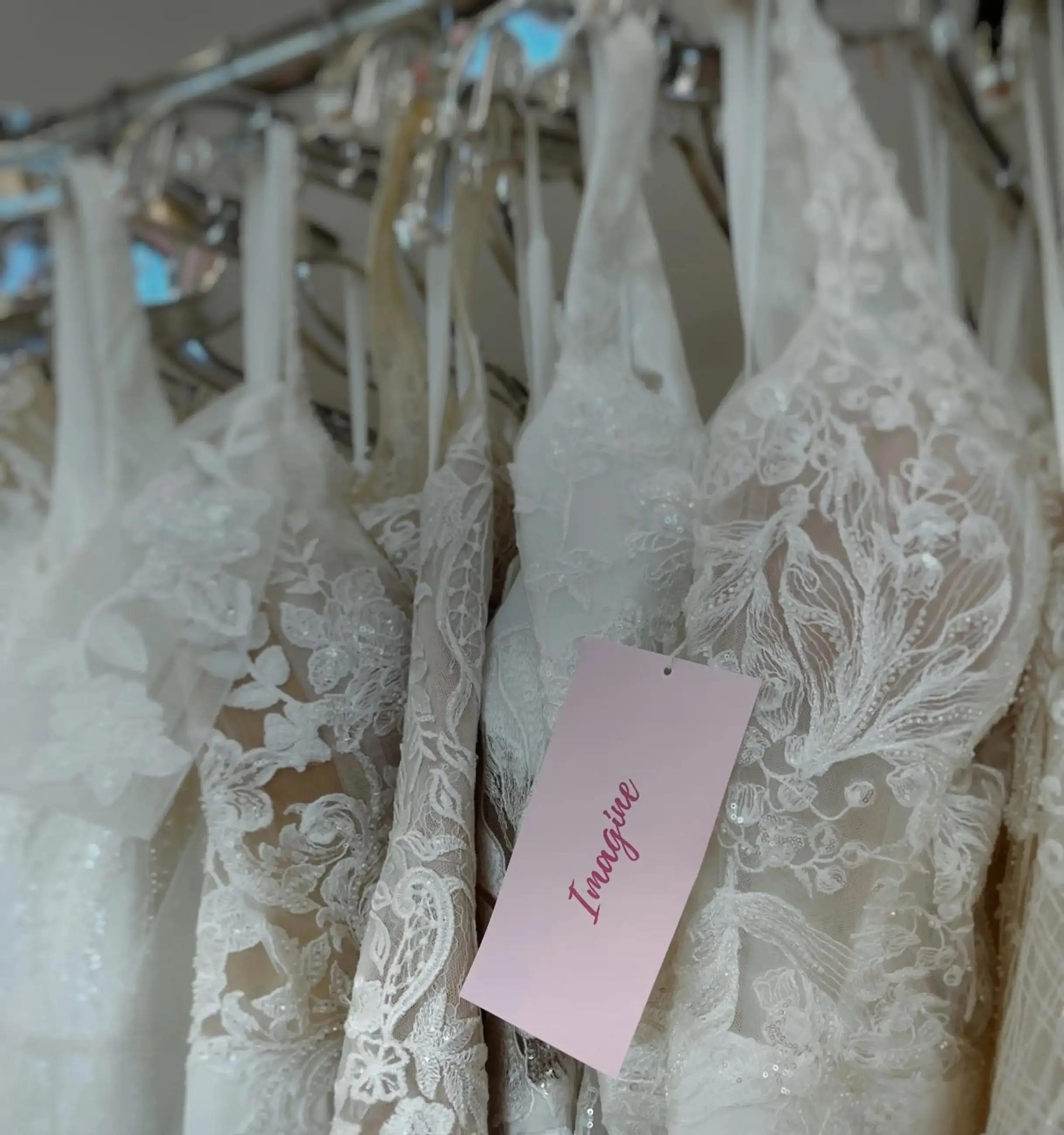 Unexpected Magic: Navigating the Journey to Finding Your Dream Wedding Dress Image