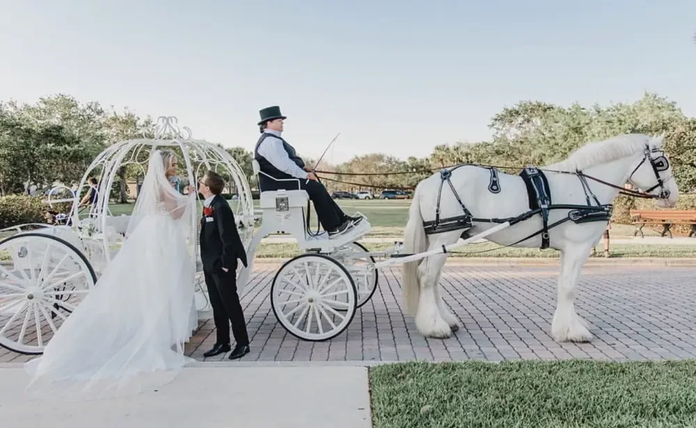 Gallery Image #slidesGrid290