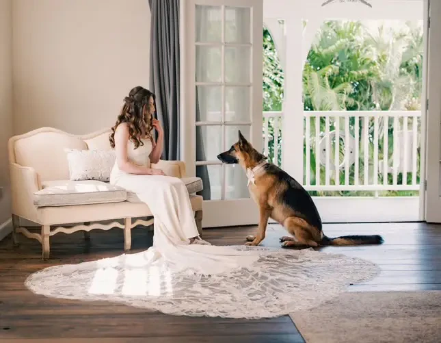 Gallery Image #slidesGrid31