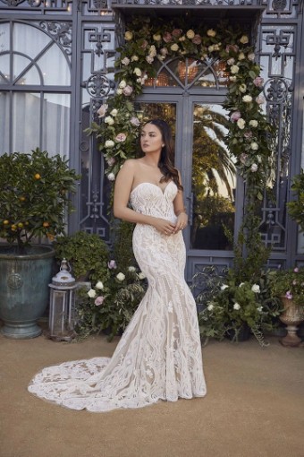 Molle Bridals #0 default thumbnail