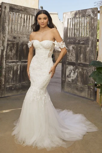 Molle Bridals #0 default thumbnail