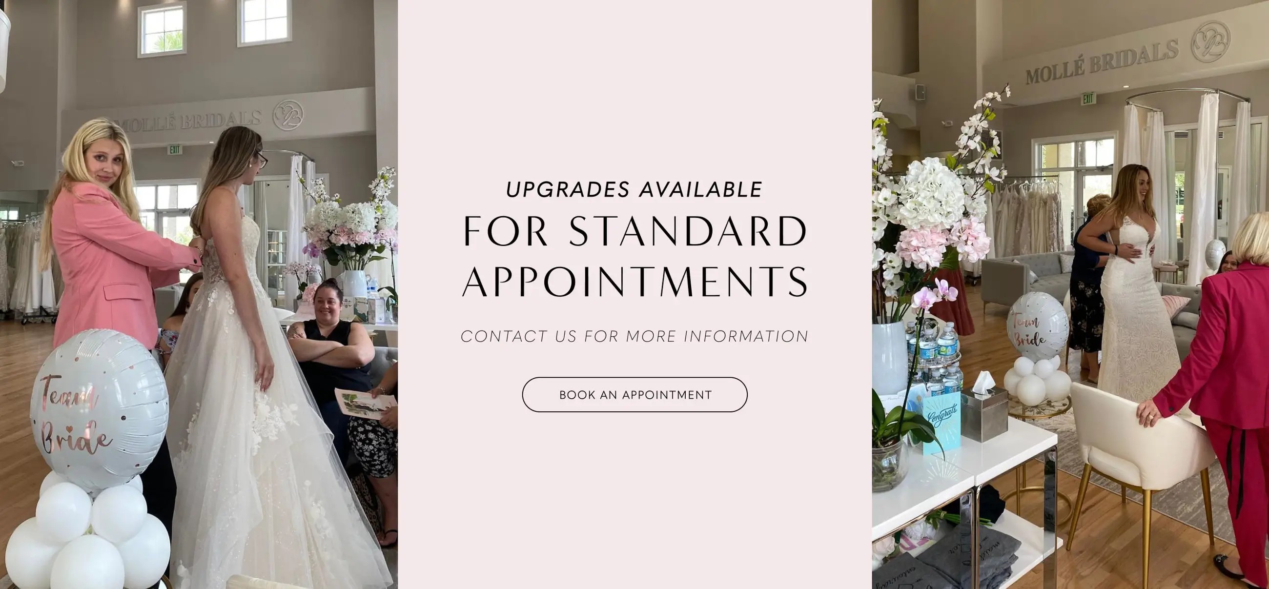 Upgrade Appointment banner for desktop