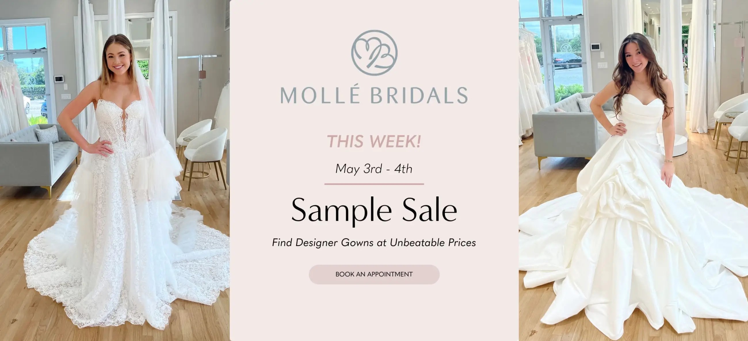 Sample Sale Banner for Desktop